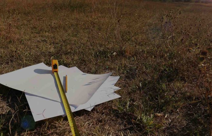 Due Diligence When Buying Land in Kenya: